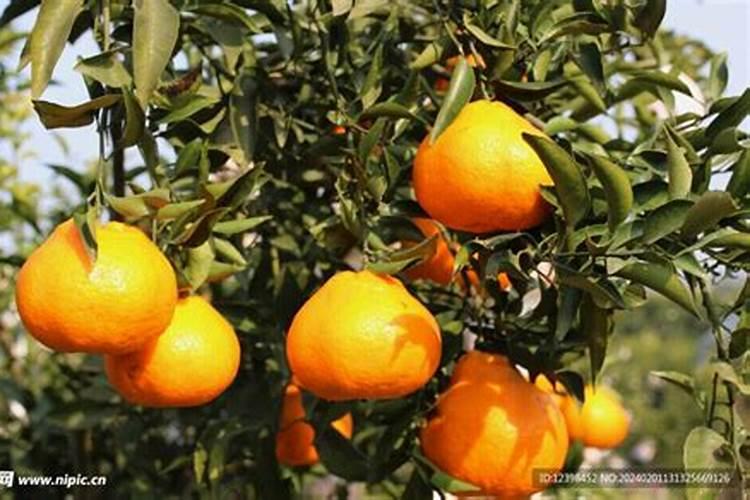 化肥含量标准怎么计算