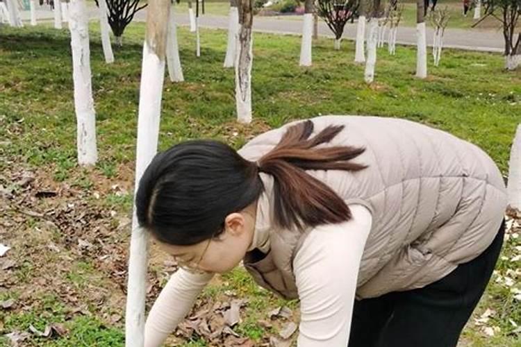 优卡夫积力水溶肥多少钱