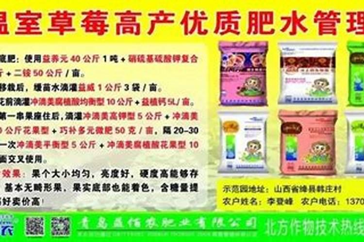 怎样给白菜巧追肥