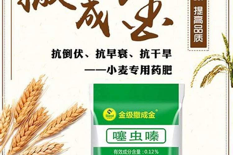 小麦专用肥的最佳配方