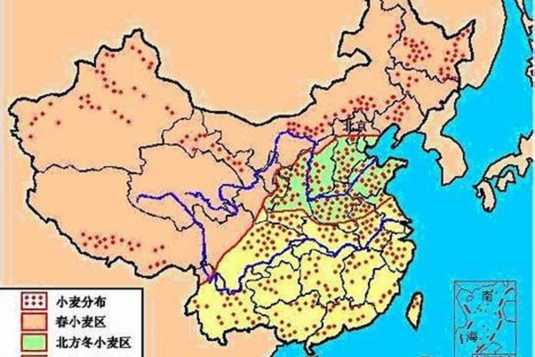 全营养水溶肥微生物菌剂有哪些