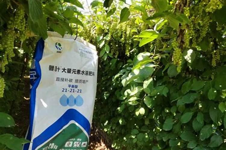 叶面肥是酸性还是碱性