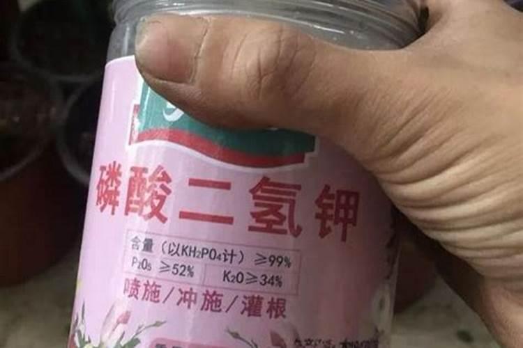 植物缺钾怎么补充？用什么肥补钾效果好？