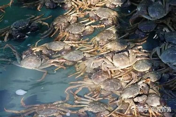 儿童头发少是不是缺锌