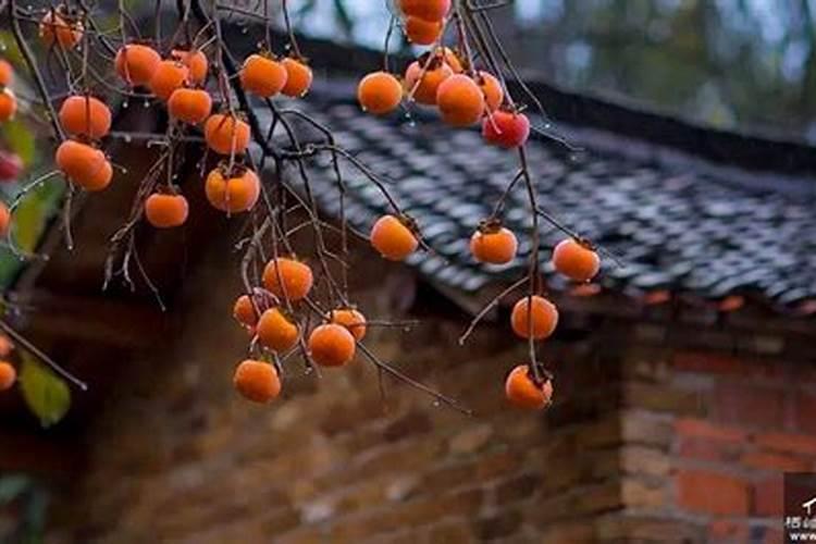 氮肥、磷肥和钾肥分别有什么作用？