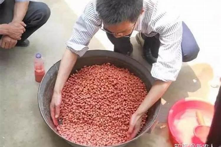 水果玉米施什么肥最好