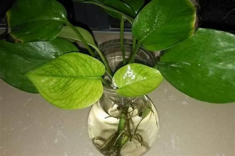 大量元素水溶肥料用法与用量