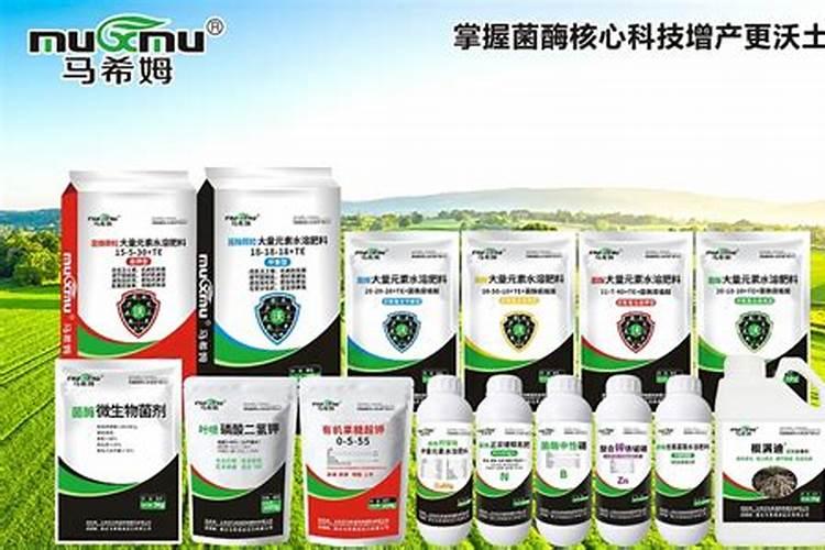 君子兰施什么肥最好