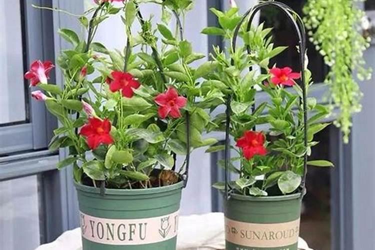 遵义市2025第9期特殊工种提前退休公示名单。