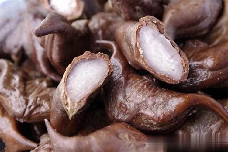 豆角想要高产怎么施肥