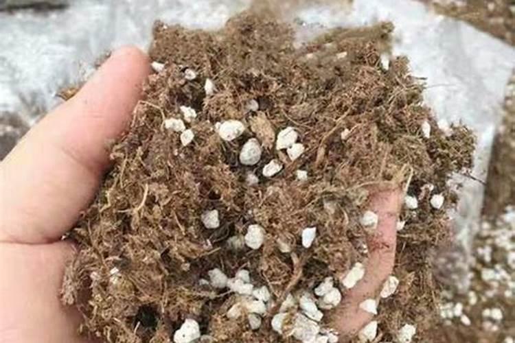 种花如何放底肥