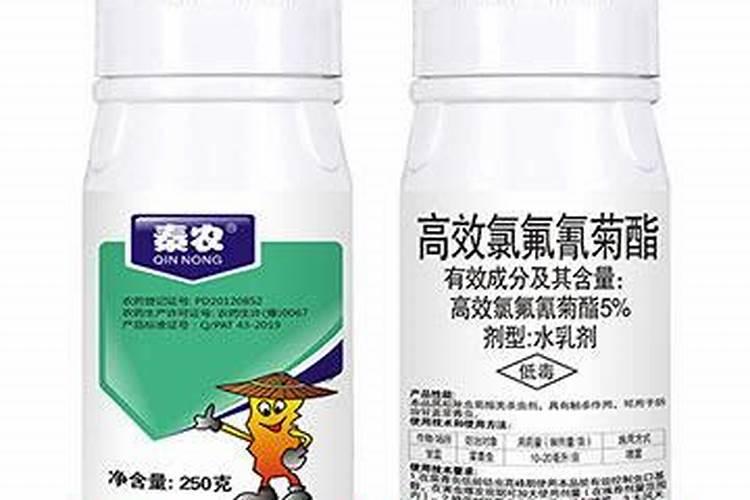 打完千金。过几个小时能给稻苗浇水？