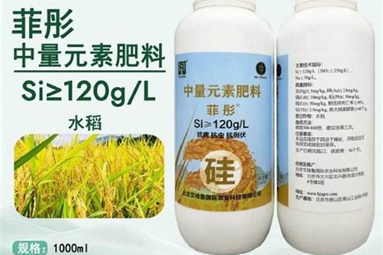 捕蝇草施什么肥最好