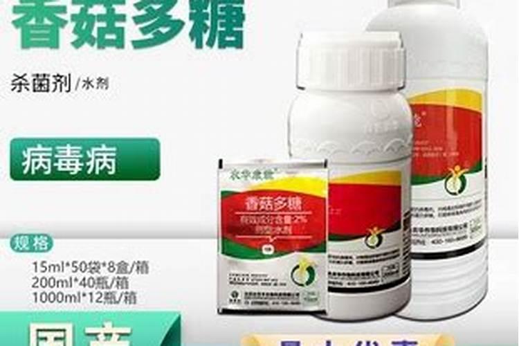 草莓怎样管理栽培: