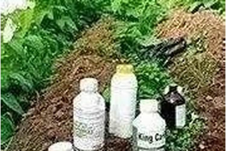 生石灰在水产养殖中有何作用？