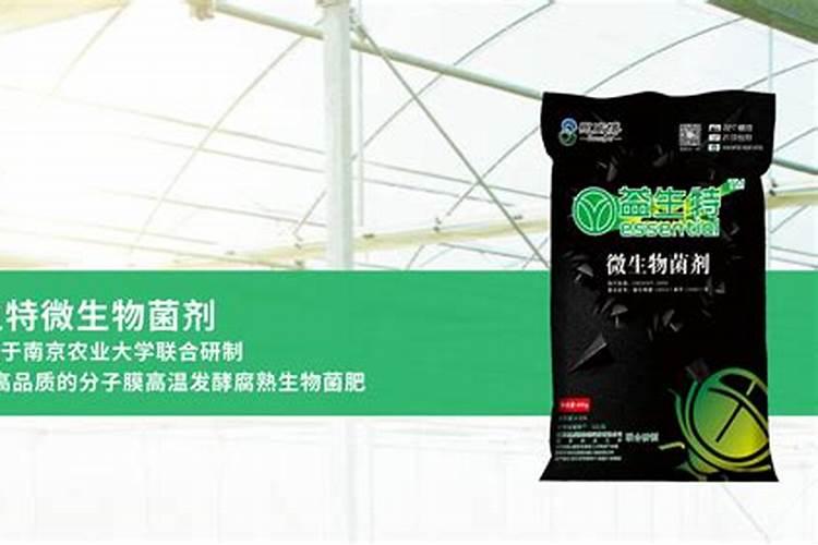 葡萄秋季管理怎么施肥