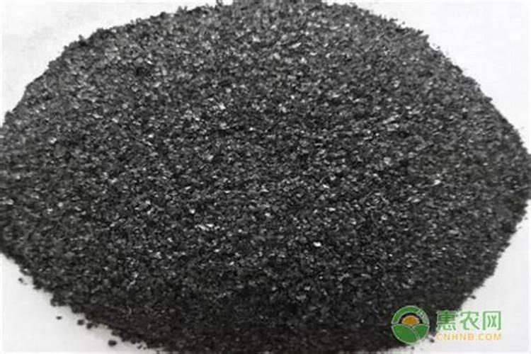 一年苹果树施什么肥比较好？