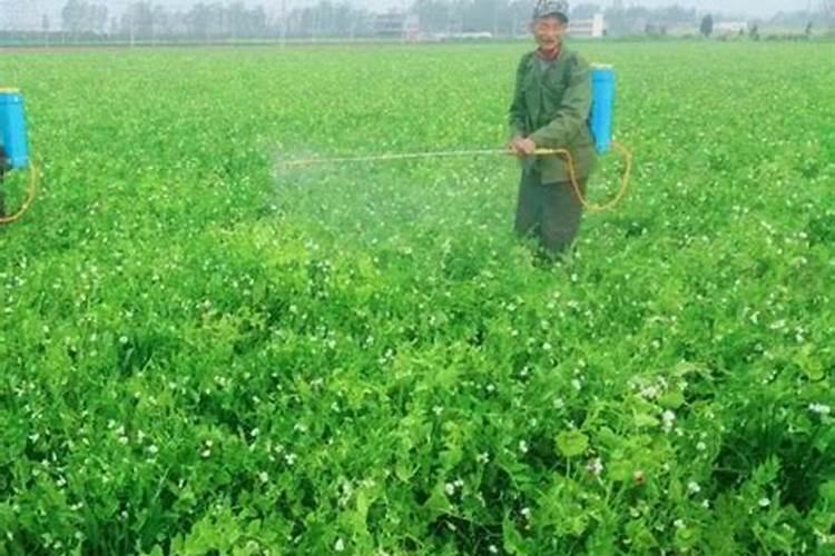 流体硼不能和什么农药配用