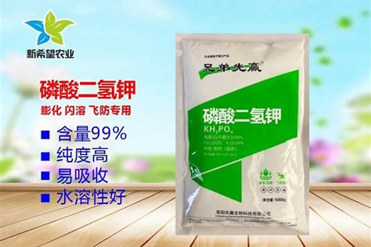 土郎官大量元素水溶肥酶的溶化问题及解决方案