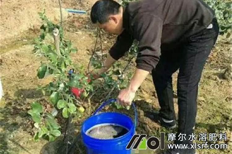 磷肥和钾肥混着用好吗