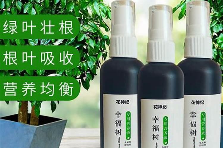 黄瓜叶片上有黄斑怎么治应该用什么农药