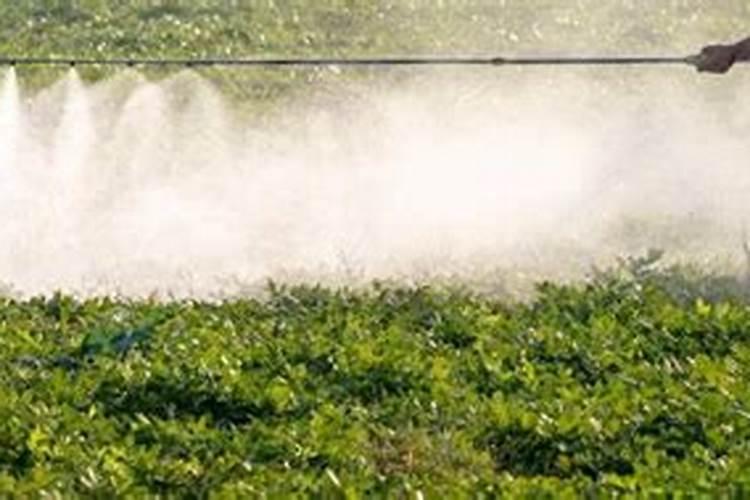 请问国内微生物肥料行业比较有名的企业有哪些？