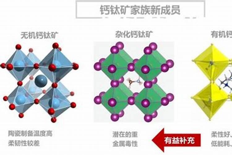 葡萄膨果期用什么肥料好