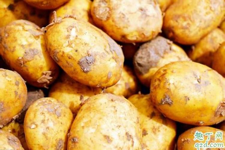 土豆最忌三种肥料