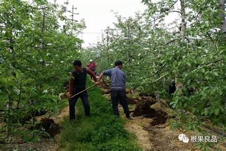 各种微量元素过量对人体分别有什么影响？