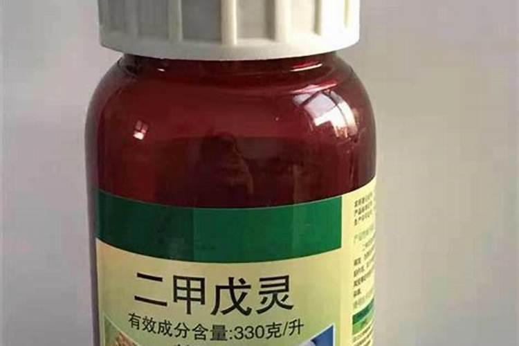 大白菜多长时间浇一次水合适