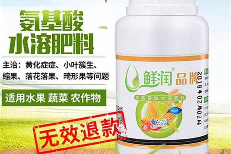 氮肥促进果树开花结果吗