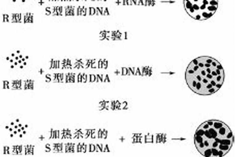 为什么煮熟的鱼肉是红的