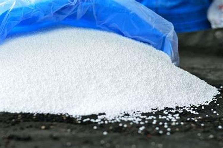 黄瓜对环境条件的要求有哪些？