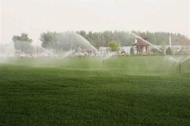 鱼的饲料可以拿来养花吗