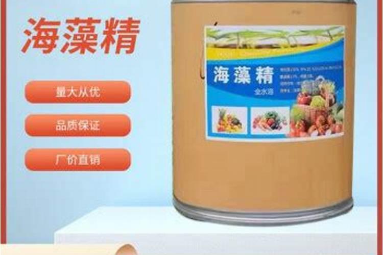 月季花冬季如何施肥效果最好,可以用水溶肥吗？