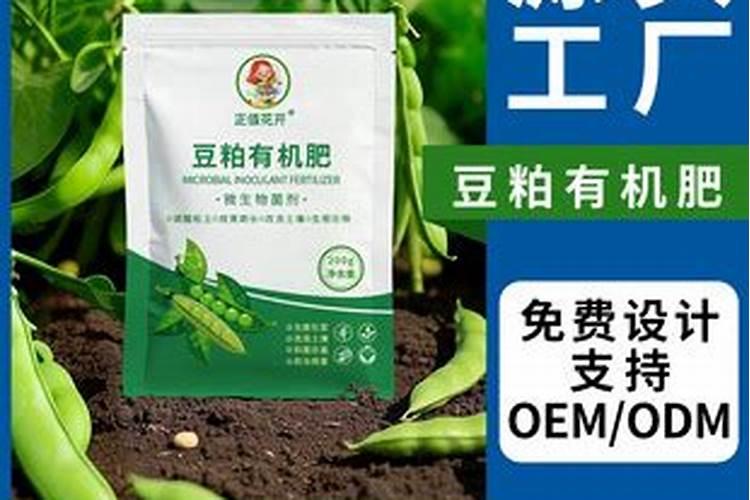 韭菜冬天要怎么保护才能继续生长