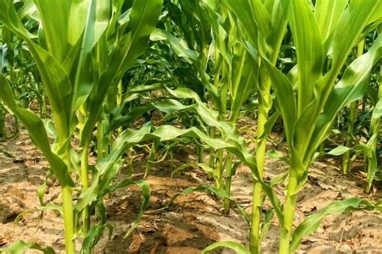 浙江钦堂钙业股份有限公司怎么样？