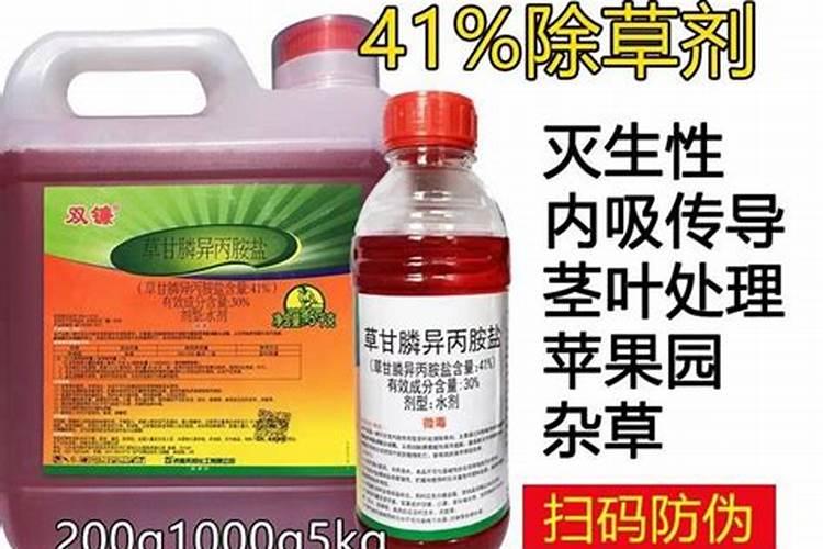 水稻什么时候喷硼肥 有什么好处