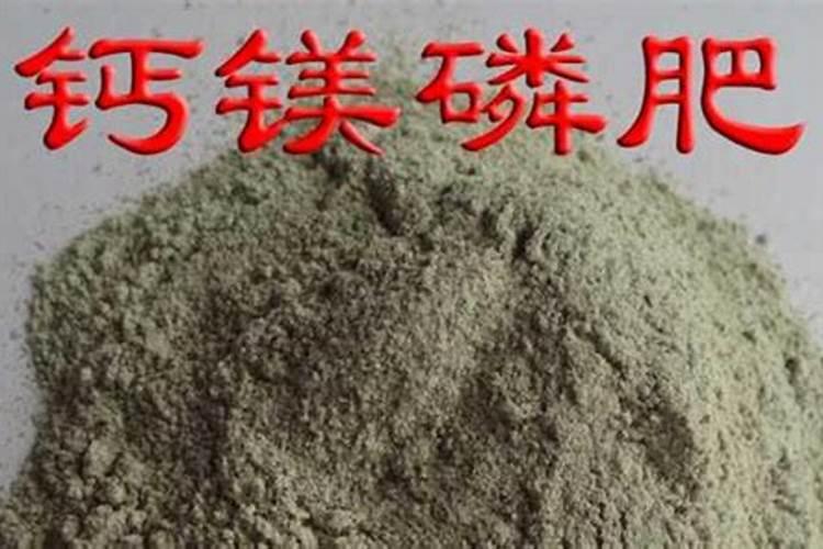 香水柠檬种植方法和注意什么