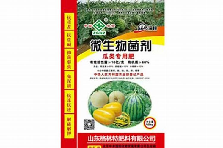 你知道无公害西葫芦生产怎样使用有机肥吗？