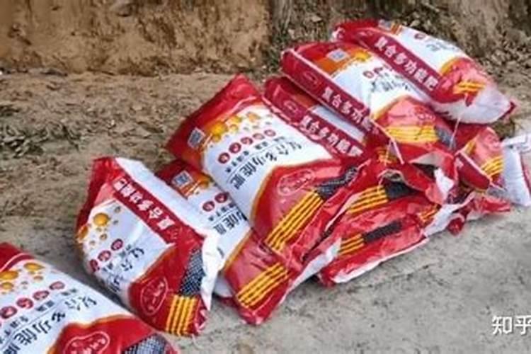 草玉露怎么养才肥胖