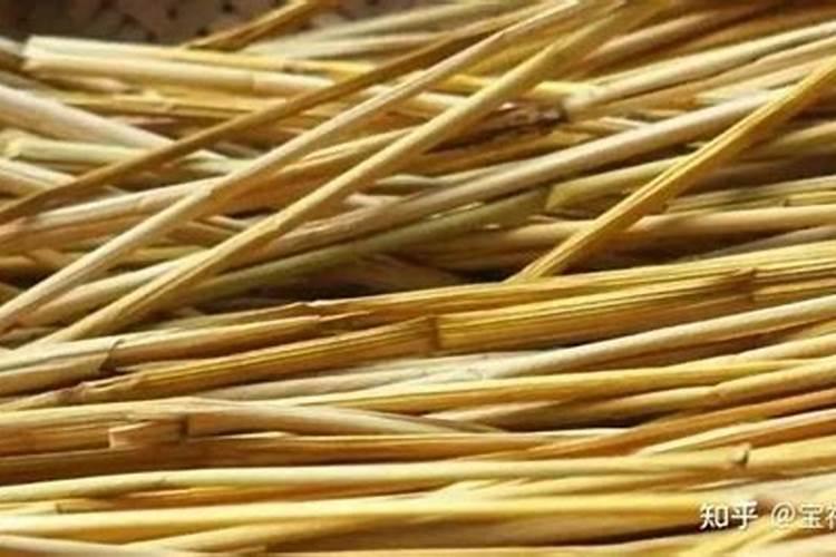 种苹果多久结果