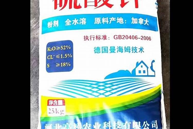 油茶施什么肥最好