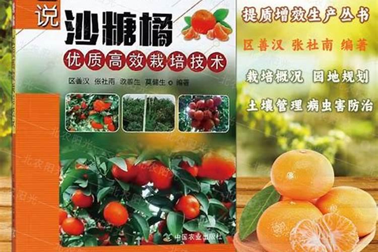 砂糖橘和马水桔扬花后该做什么？