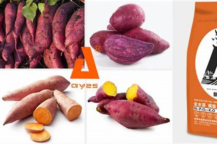 颗粒硼肥什么牌子的好