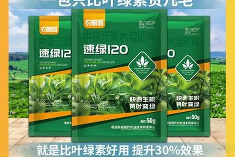 钙镁磷肥的效果,怎么施用效果好,注意事项