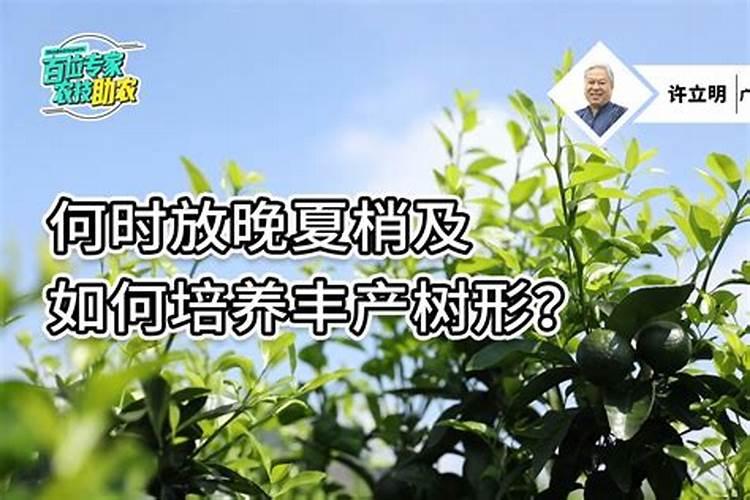 磷肥的作用及使用方法及注意事项