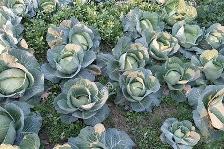 简述脱硫脱磷的热力学条件