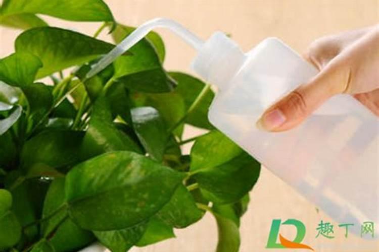 恶霉灵可以和甲维盐混用吗