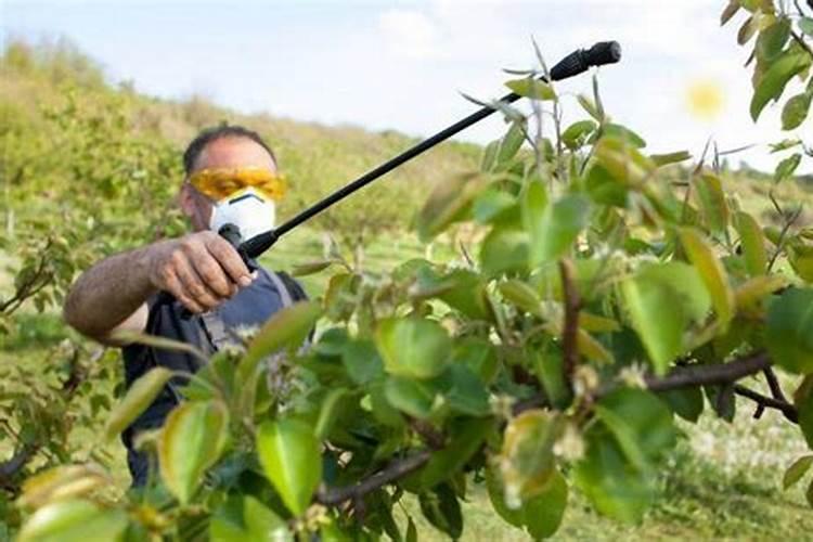 尿素和纯钾肥怎么配比？